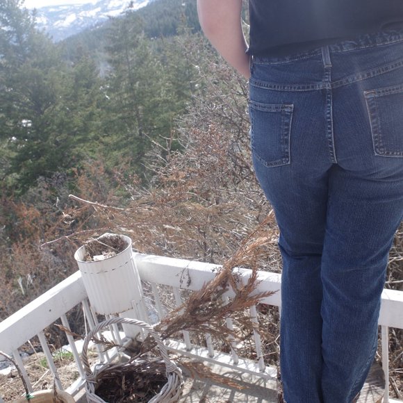 Vintage Northern Reflections Jeans Straight Leg Boot -Cut - Picture 6 of 7